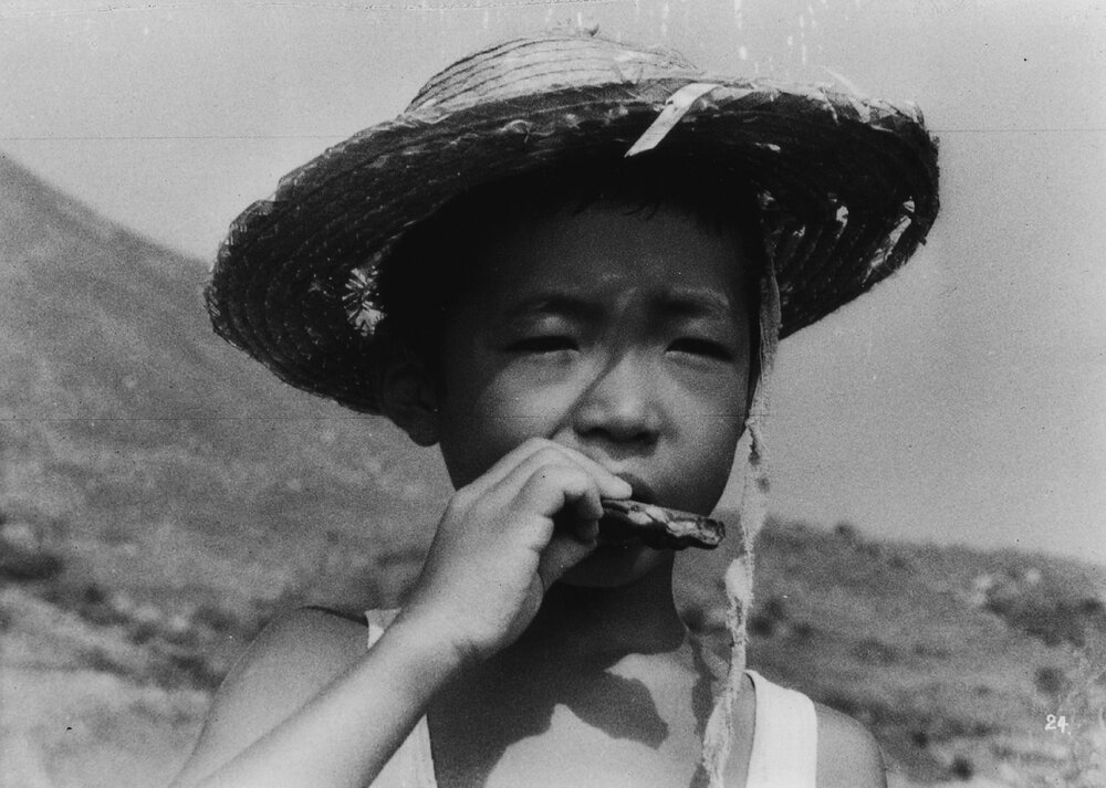 1962.陷阱.黑白 中字 日本犯罪奇幻 豆瓣7.9 Pitfall.D9.MiniSD-TLF