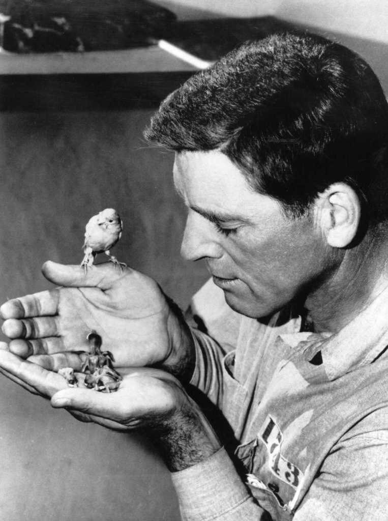 1962.阿尔卡特兹的养鸟人.黑白 中字 美国传记剧情 高清 豆瓣8.6 Birdman.of.Alcatraz.HDTV.MiniSD-TLF