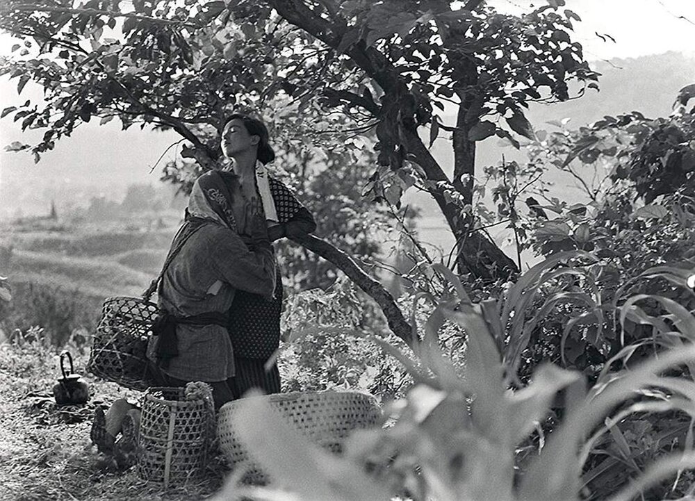 1963.日本昆虫记.黑白 中字 日本剧情 高清 豆瓣8.2 .Insect.Woman.D9.CC.MiniSD-TLF