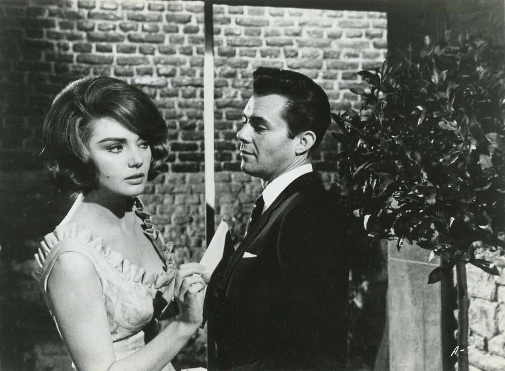 1964.捷京谍影 彩色 中字 英国喜剧 高清 豆瓣6.7 Hot Enough for June Blu-ray 1080p x264