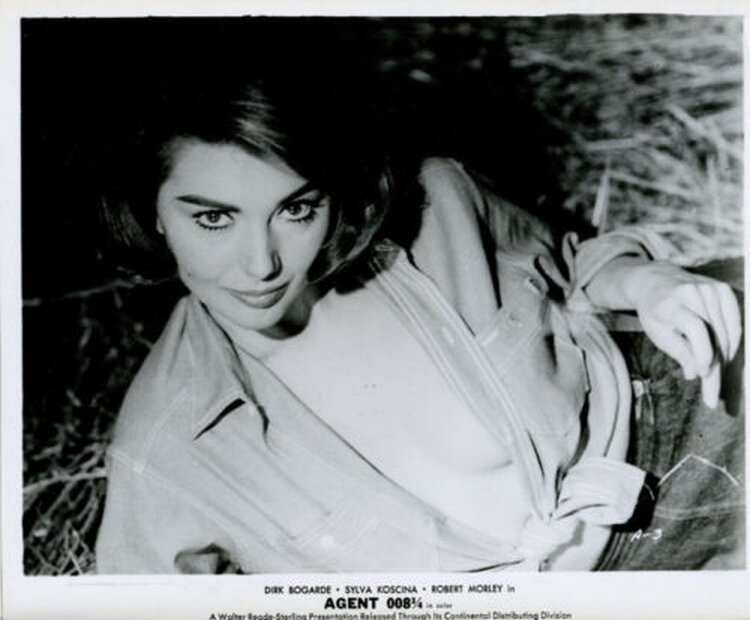 1964.捷京谍影 彩色 中字 英国喜剧 高清 豆瓣6.7 Hot Enough for June Blu-ray 1080p x264