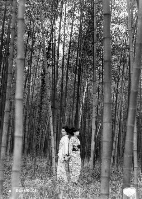 1965.美丽与哀伤 彩色 中字 日本爱情 标清有水印 豆瓣7.1With Beauty and Sorrow