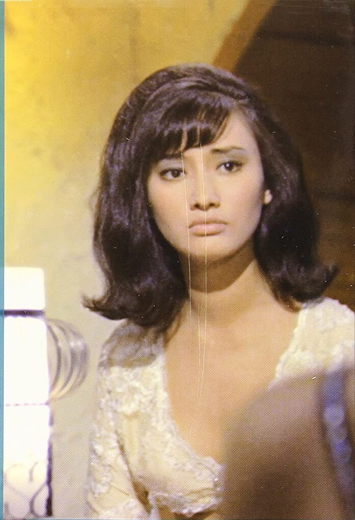 1966.何日君再来 彩色中字 高清 香港爱情 豆瓣6.6 陈厚 胡燕妮 邵氏