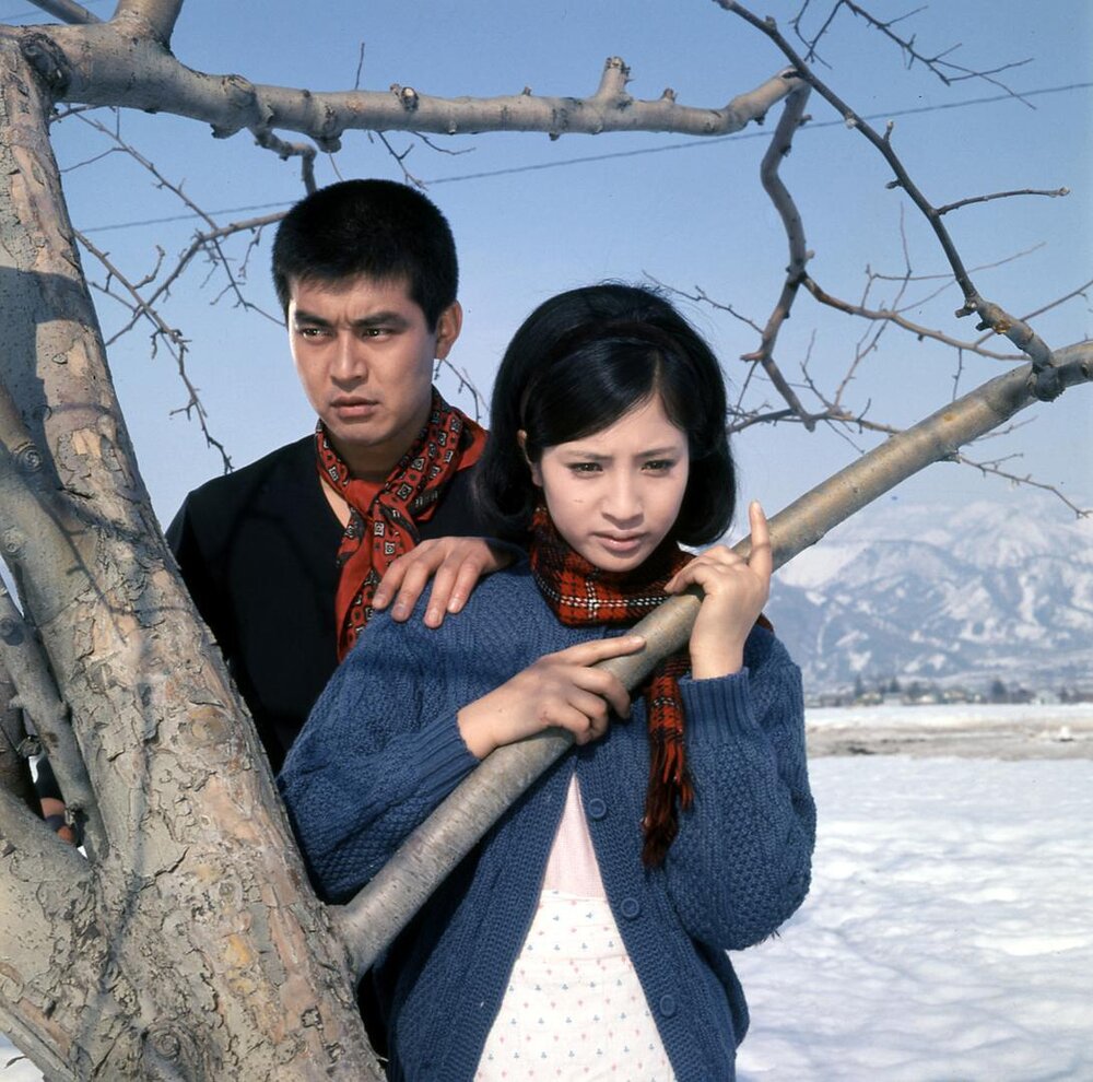 1966.东京流浪汉 彩色 中字 日本动作犯罪 标清 豆瓣6.9 BD.CC.MiniSD-TLF