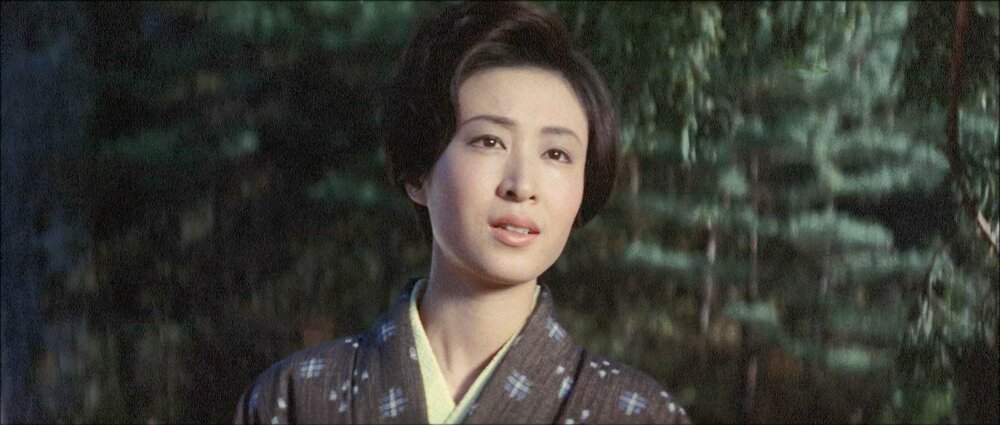 1966.和残侠传 一匹狼 彩色中字 日本动作犯罪 高清有水印 豆瓣无分 Showa zankyo-den3 Ippiki okami