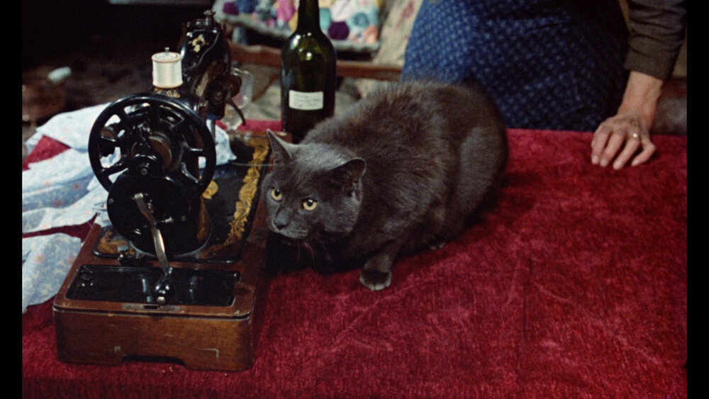 1966.女巫 彩色 中字 英国恐怖 高清 豆瓣 5.9 The WitchesHorror
