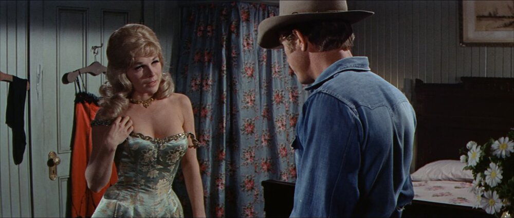 1966.西部浪子 彩色中字 清晰 美国西部 豆瓣7.3 .Nevada.Smith.DVDRip.XviD