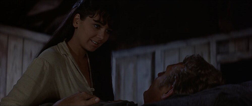 1966.西部浪子 彩色中字 清晰 美国西部 豆瓣7.3 .Nevada.Smith.DVDRip.XviD