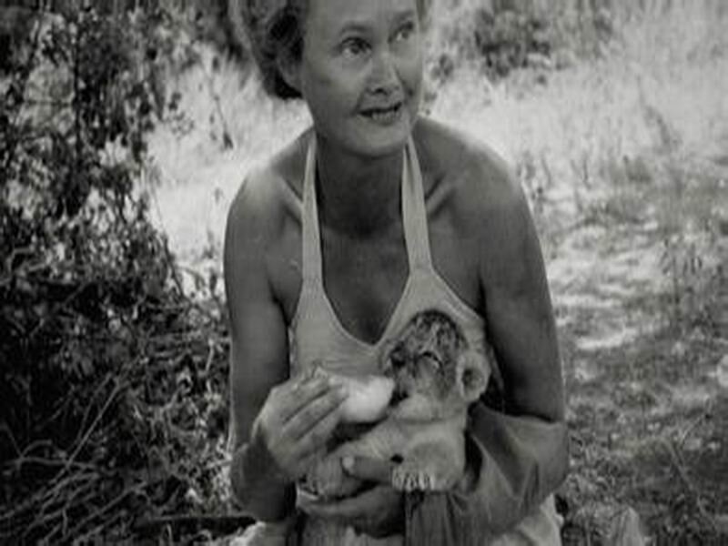 1966.生来自由 彩色 中字 高清 英美冒险 豆瓣8.5 .Born.Free.BD1080P