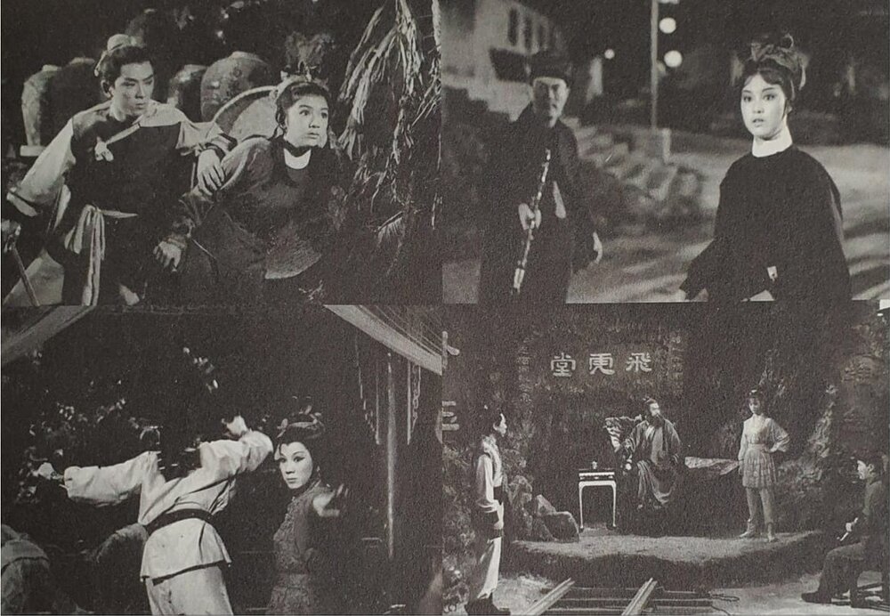 1967.琴剑恩仇 彩色中字 高清 香港冒险 豆瓣6.7 王羽 邵氏.