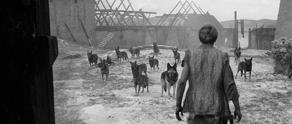 1967.乱世英豪. 黑白 中字 捷克爱情历史 高清 豆瓣7.9  Marketa.Lazarová.HR-HDTV.AC3.1024X576.x264