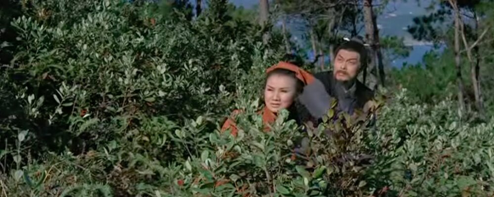 1968.女侠黑蝴蝶 彩色中字 高清 香港武侠 豆瓣5.9 焦姣 岳华 邵氏.