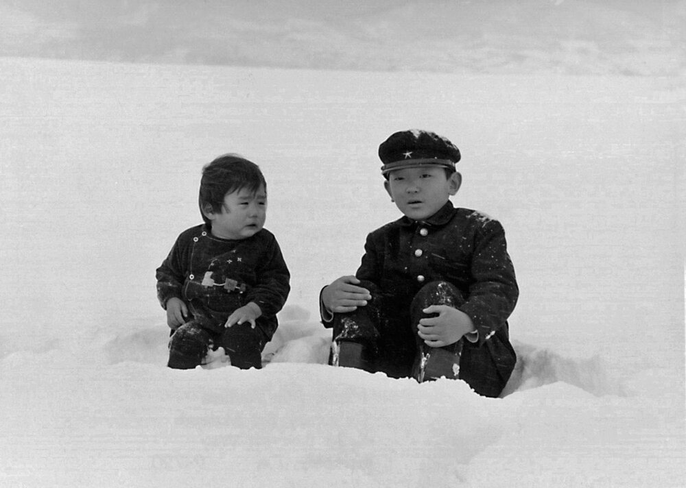 1969.少年 彩色 中字 日本剧情 标清 豆瓣8.0 Boy