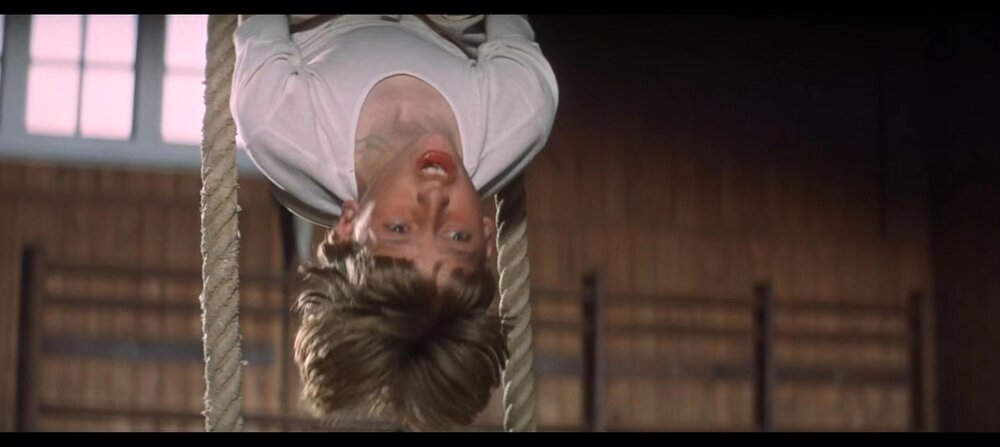 1969.万世师表 彩色 无字 高清 美国歌舞爱情 豆瓣7.8 Goodbye.Mr.Chips.DVDRip.XViD.SyLPhH