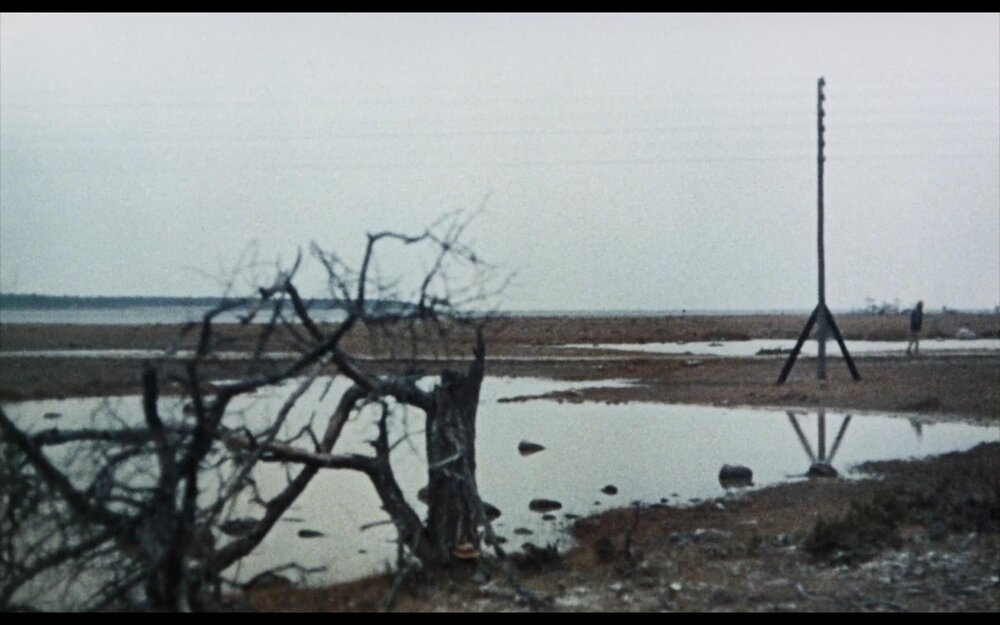 1969.安娜的情欲 彩色中字 高清 瑞典爱情 豆瓣8.0 The Passion of Anna 1080p.BluRay.x264-DEPTH