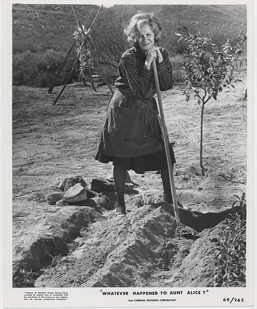 1969.爱丽丝姨妈.彩色中字高清 美国惊悚犯罪悬疑 豆瓣7.0 BD