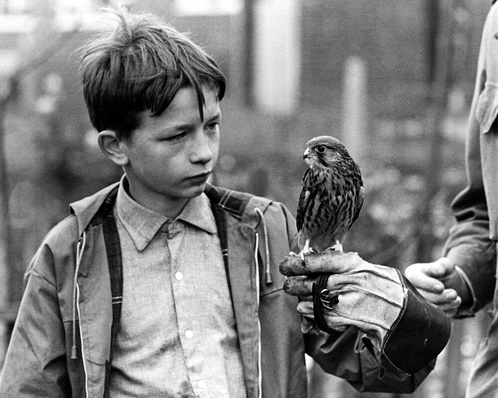 1969.小孩与鹰 彩色 中字 高清 英国剧情儿童 豆瓣8.6 .Kes.BluRay.Criterion.Collection.720p.x264.AC3-CMCT