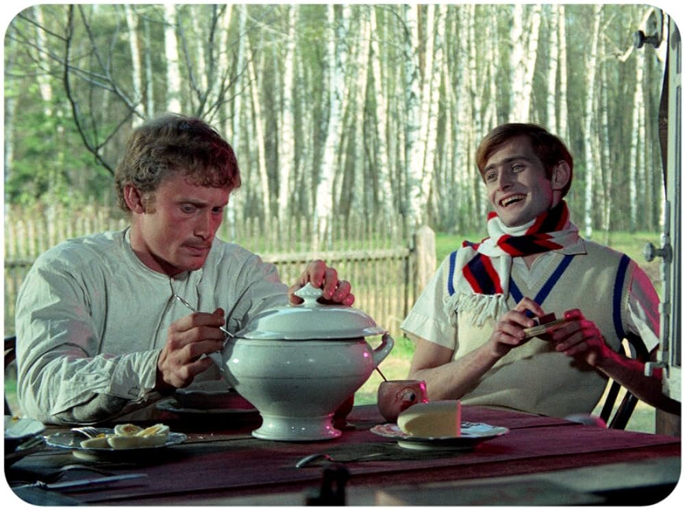 1970.桦树林.彩色 中字 高清 波兰剧情 豆瓣6.9 Brzezina.720×576.DVDrip.CHS