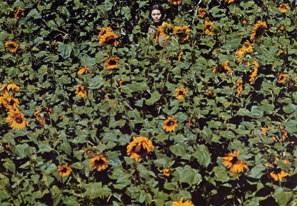 1970.第二个月亮.彩色 中字 高清 意法苏美剧情 豆瓣8.0 SunflowerI girasoli.BDRip.720p