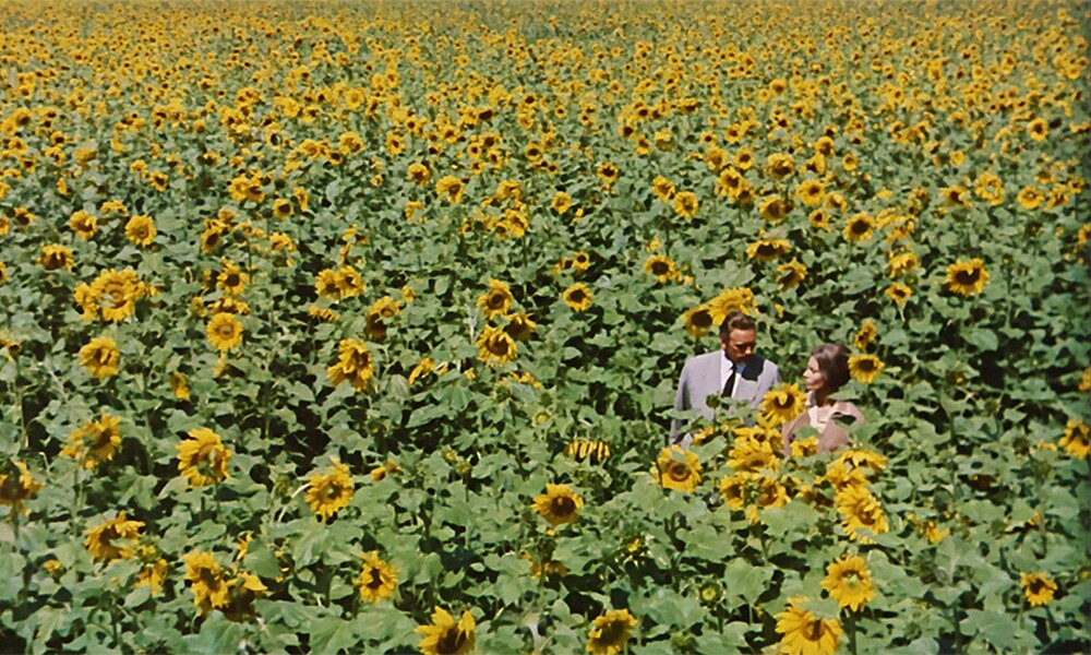1970.第二个月亮.彩色 中字 高清 意法苏美剧情 豆瓣8.0 SunflowerI girasoli.BDRip.720p