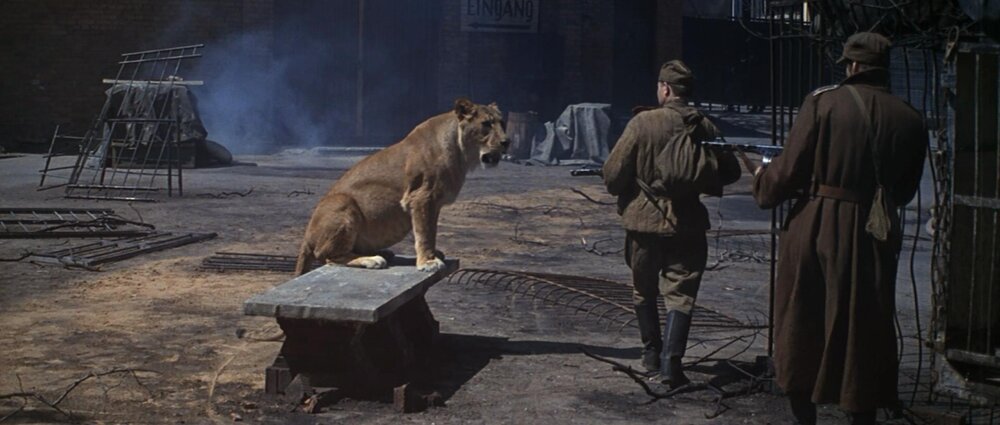 1970.解放4.柏林之战.彩色 中字 国语 高清 苏联战争 豆瓣8.7 Film-4.Bitva.za.Berlin.BD1080P.X264.AC3