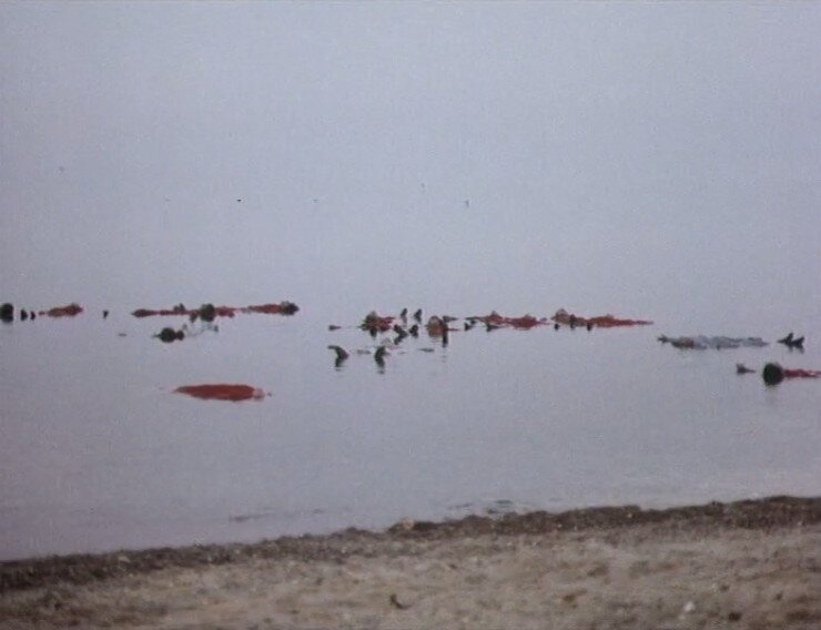 1970.吸血鬼不死 彩色 无字 高清 德国恐怖 豆瓣无分 Jonathan