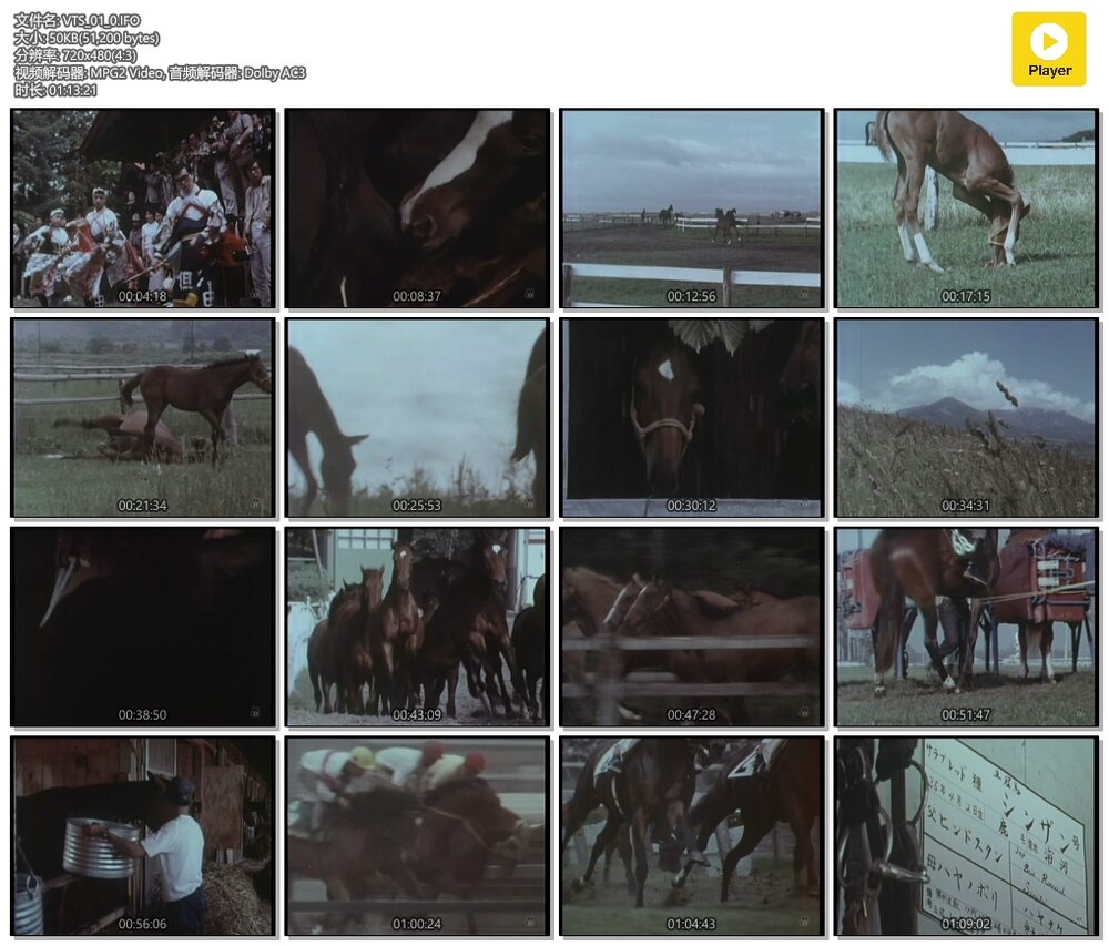 1970.马之诗 彩色 中字 标清 日本纪录片 豆瓣6.6 馬の詩 AKA.Song of the Horse AKA.Uma No Uta