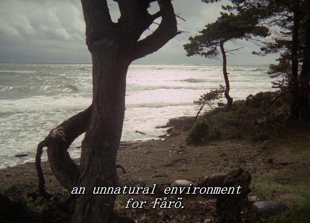 1970.法罗文献 黑白中字 高清 瑞典纪录片 豆瓣7.6 Faro.Document.1080p.BluRay.x264-DEPTH