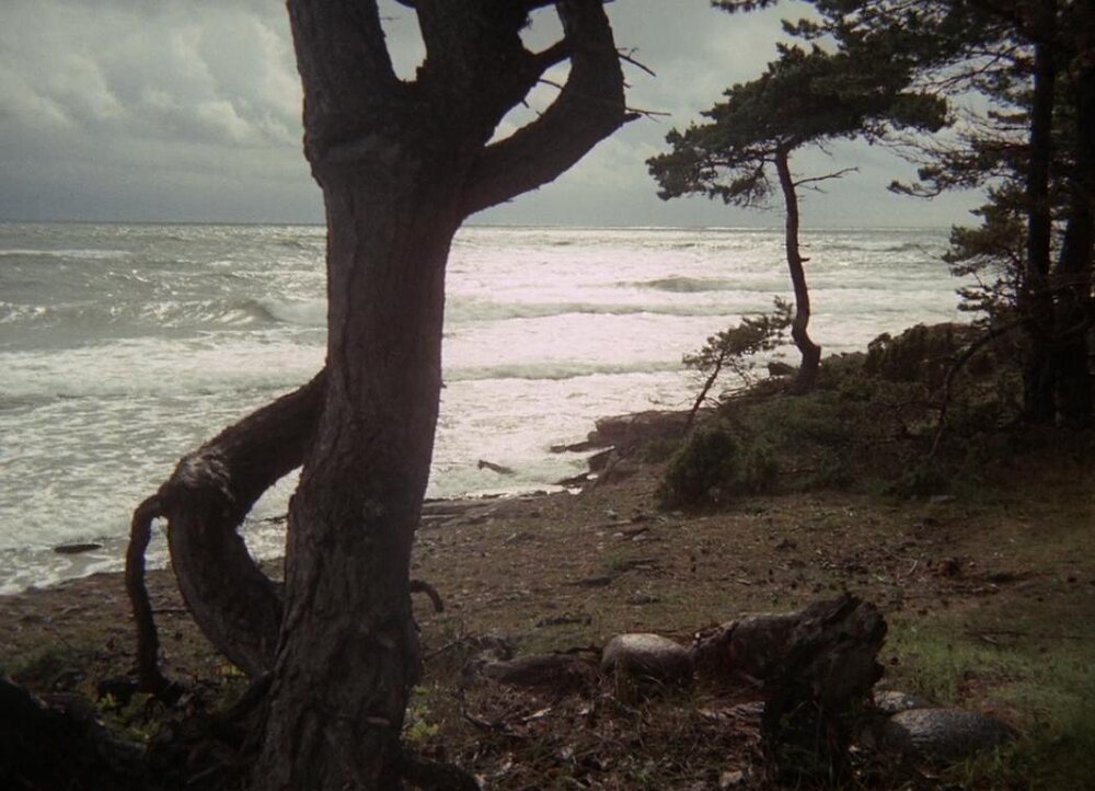 1970.法罗文献 黑白中字 高清 瑞典纪录片 豆瓣7.6 Faro.Document.1080p.BluRay.x264-DEPTH