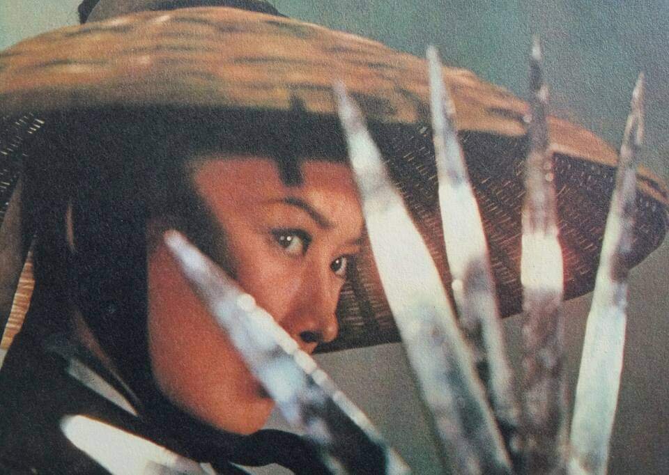 1971.剑女幽魂 彩色 中字高清 香港动作 豆瓣5.6 井莉 邵氏