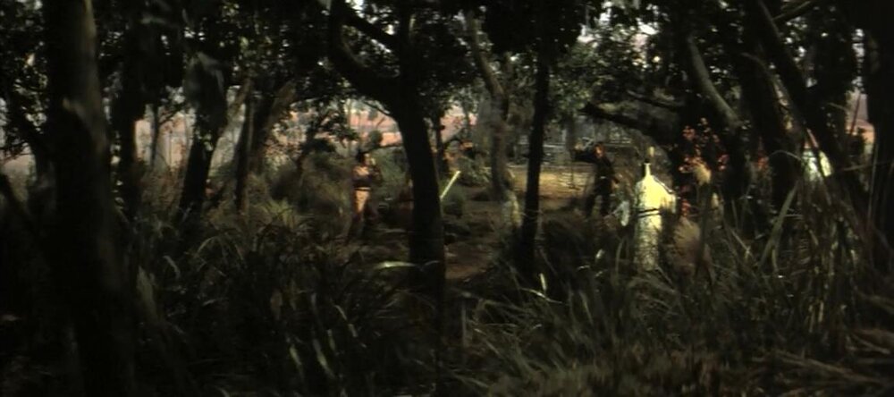1971.万里雄风 彩色中字 高清 台湾动作 豆瓣6.1 上官灵凤