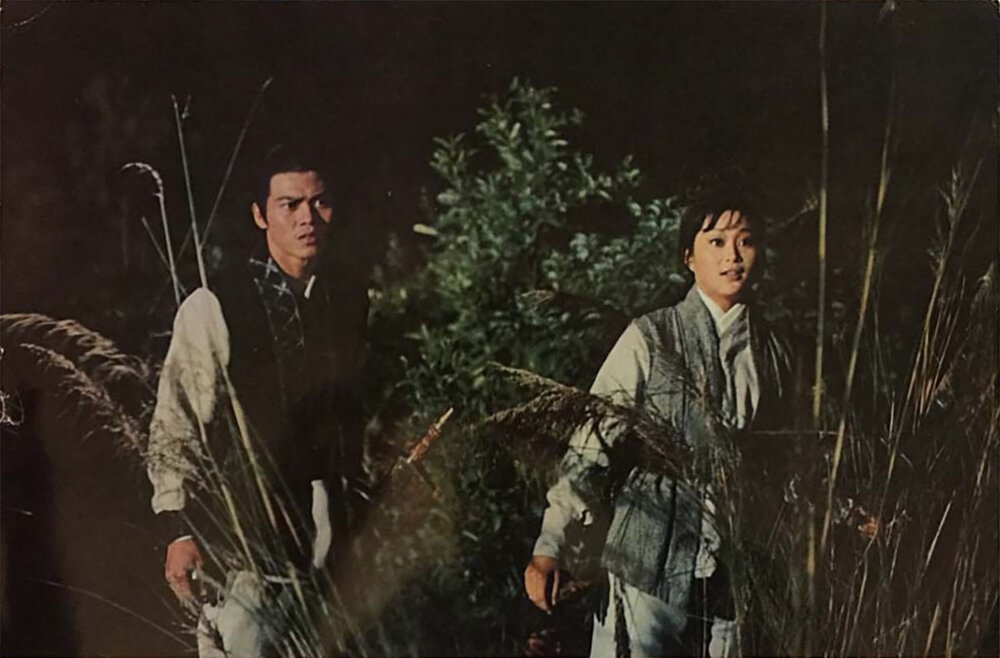1971.钟馗娘子 彩色中字 高清 香港武侠 豆瓣6.3 郑佩佩 洪金宝 邵氏