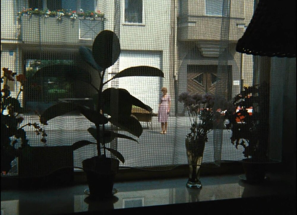 1971.四季商人 彩色 中字 清晰 德国剧情 豆瓣7.8.The.Merchant.of.Four.Seasons.CC.BD.MiniSD-TLF