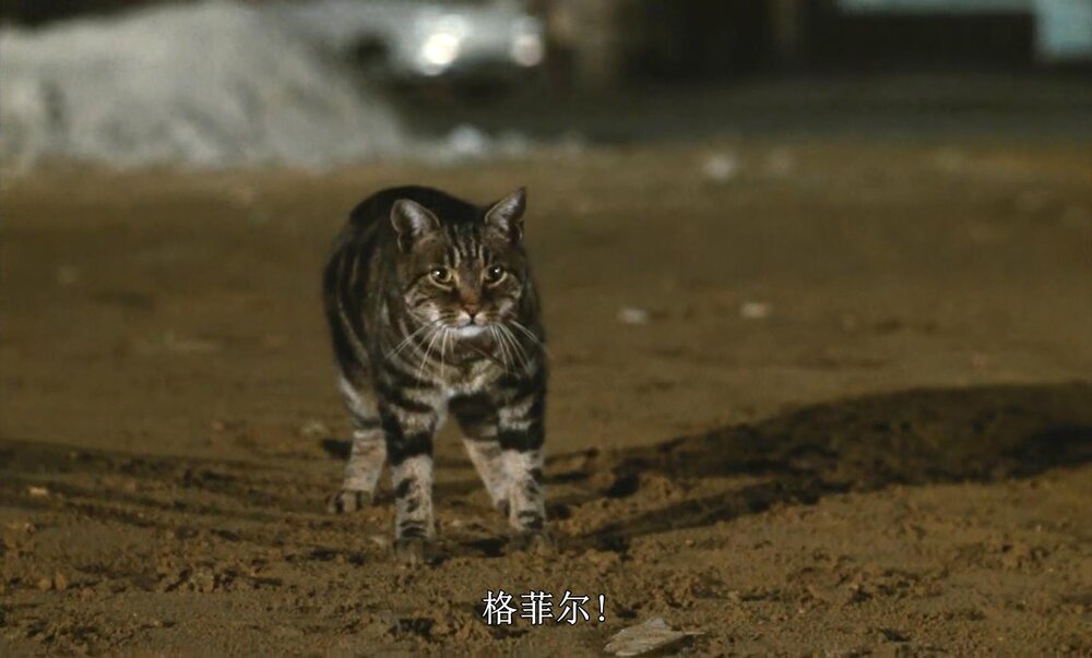 1971.猫 彩色 中字 高清 法意剧情 豆瓣8.5 Le Chat