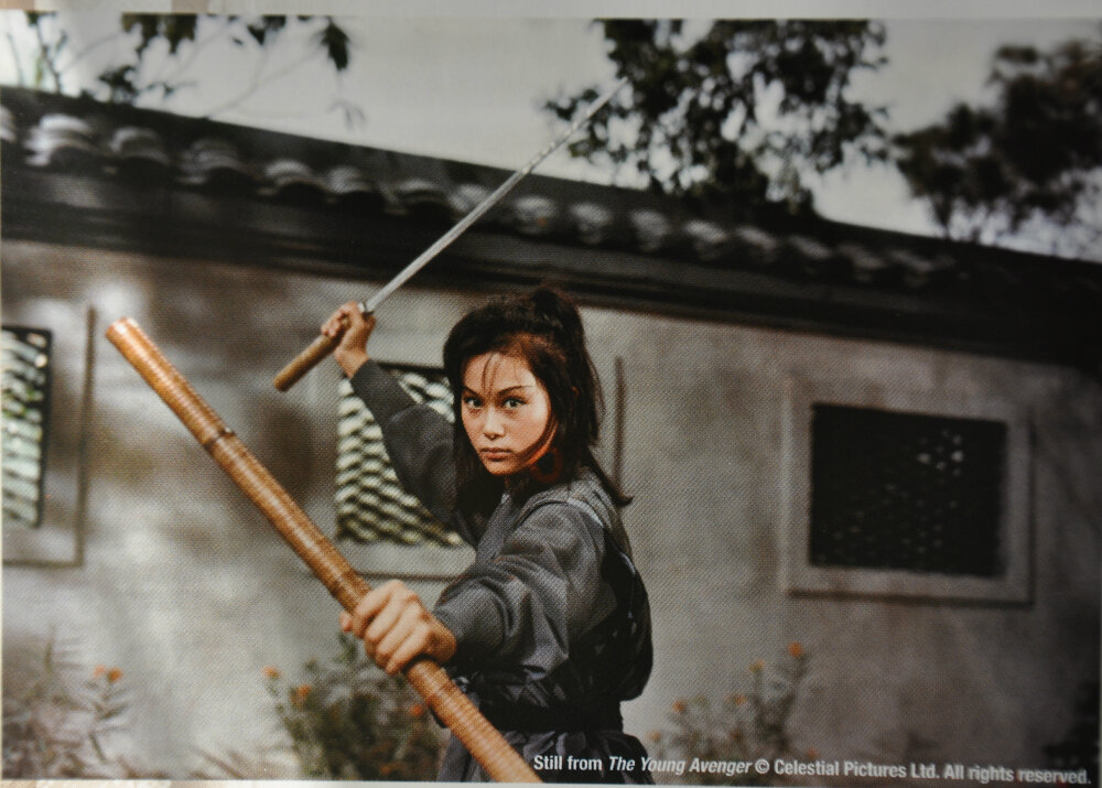 1972.小毒龙 彩色中字 高清 香港动作 豆瓣5.6 邵氏