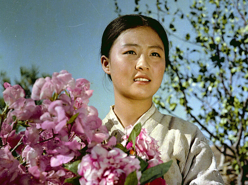 1972.卖花姑娘. 彩色 国语 标清 朝鲜剧情 豆瓣7.2 DVDRip.720x284.x264.ac3