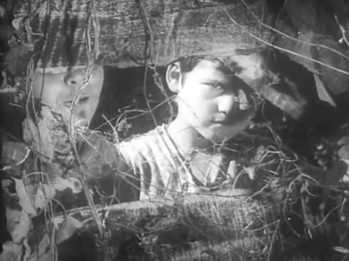 1972.战斗的早晨 黑白 国语 清晰 阿尔巴尼亚剧情 豆瓣6.4