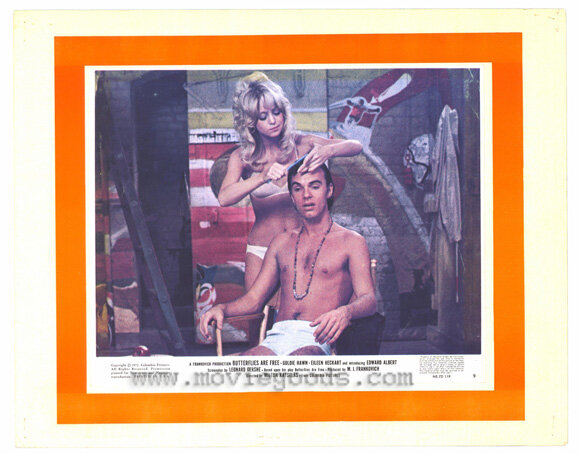 1972.蝴蝶是自由的. 彩色 中字 标清 美国喜剧爱情音乐 豆瓣8.2 butterflies are free. 1024X576