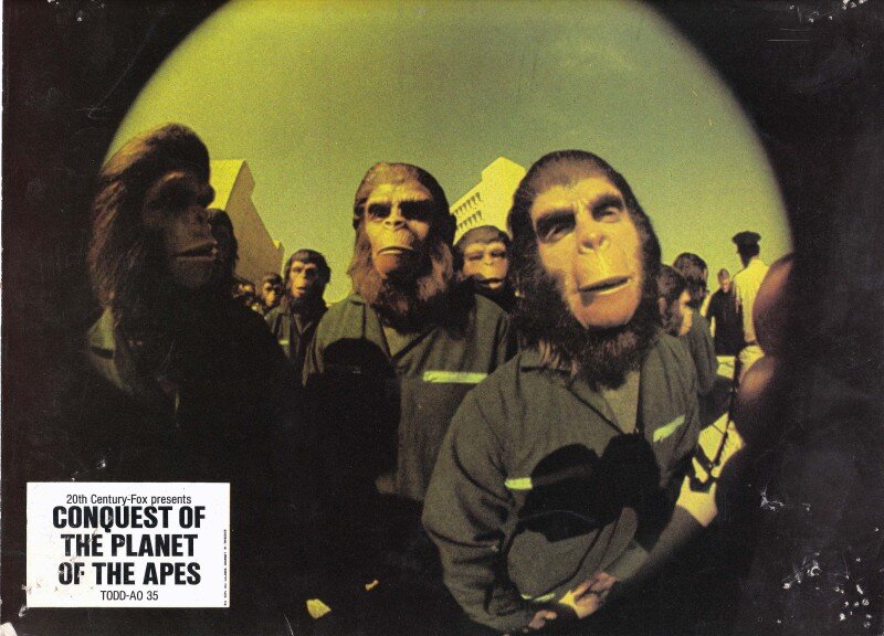 1972.猩球征服.彩色中字 清晰 Conquest.of.the.Planet.of.the.Apes.BD.MiniSD-TLF