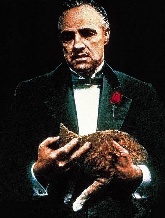 1972.教父 彩色 中字 高清 美国犯罪 豆瓣9.3 The.Godfather.BluRay.720p.x264.AC3