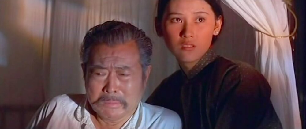 1973.土匪 彩色中字 清晰 香港冒险 岳华 施思