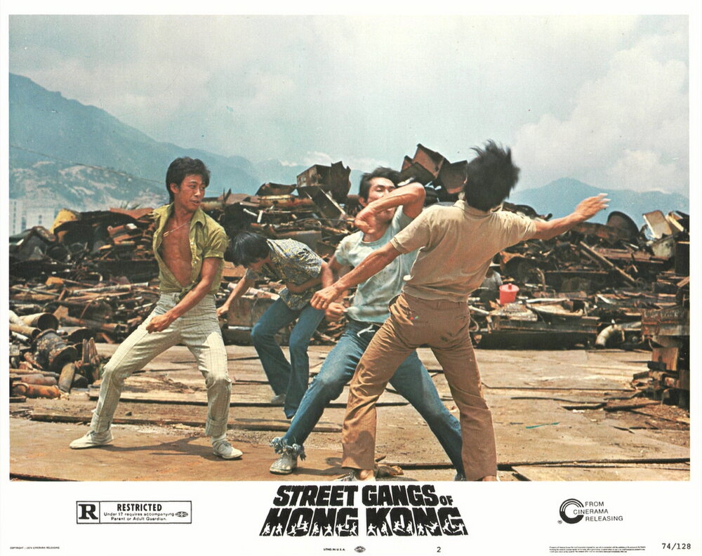 1973.愤怒青年 彩色中字 高清 香港动作 豆瓣7.2 邵氏