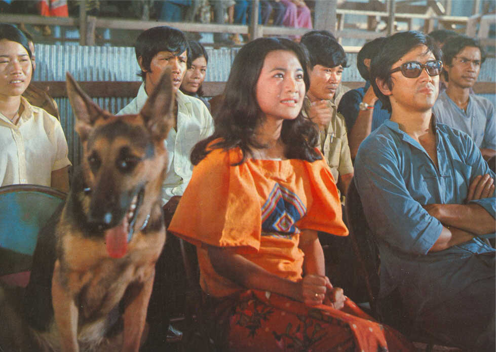 1973.龙虎金刚 彩色中字 清晰 香港动作 豆瓣5.9 王羽 许冠杰