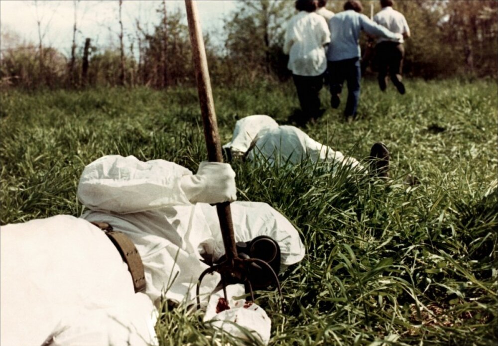 1973.杀出狂人镇.彩色中字 高清 美国惊悚恐怖 豆瓣6.7 The Crazies