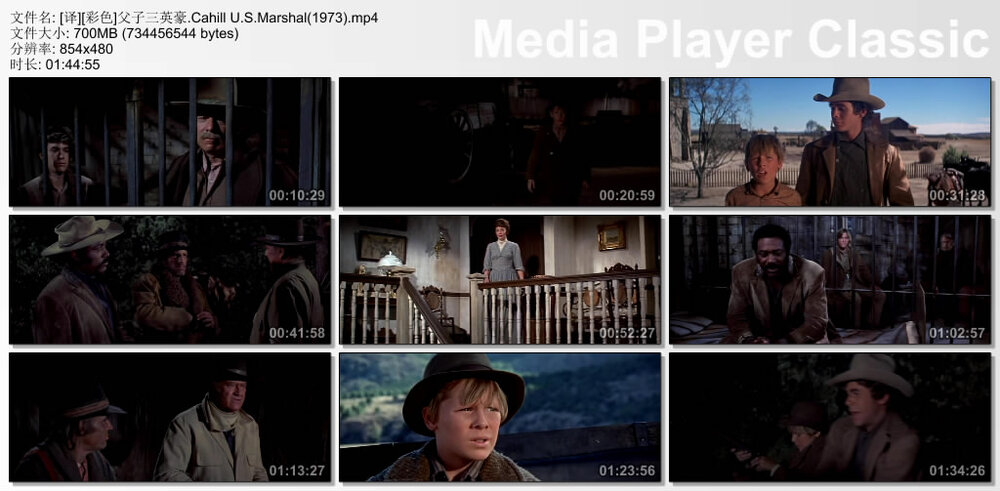 1973.父子三英豪 彩色 中字 高清 美国西部 豆瓣无分 1080p