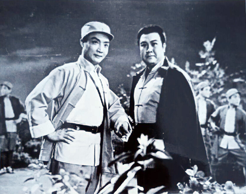 1974.平原作战 彩色 清晰 八一 豆瓣7.0