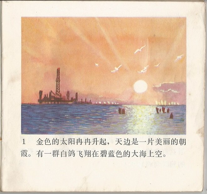 1978.小白鸽 彩色 高清
