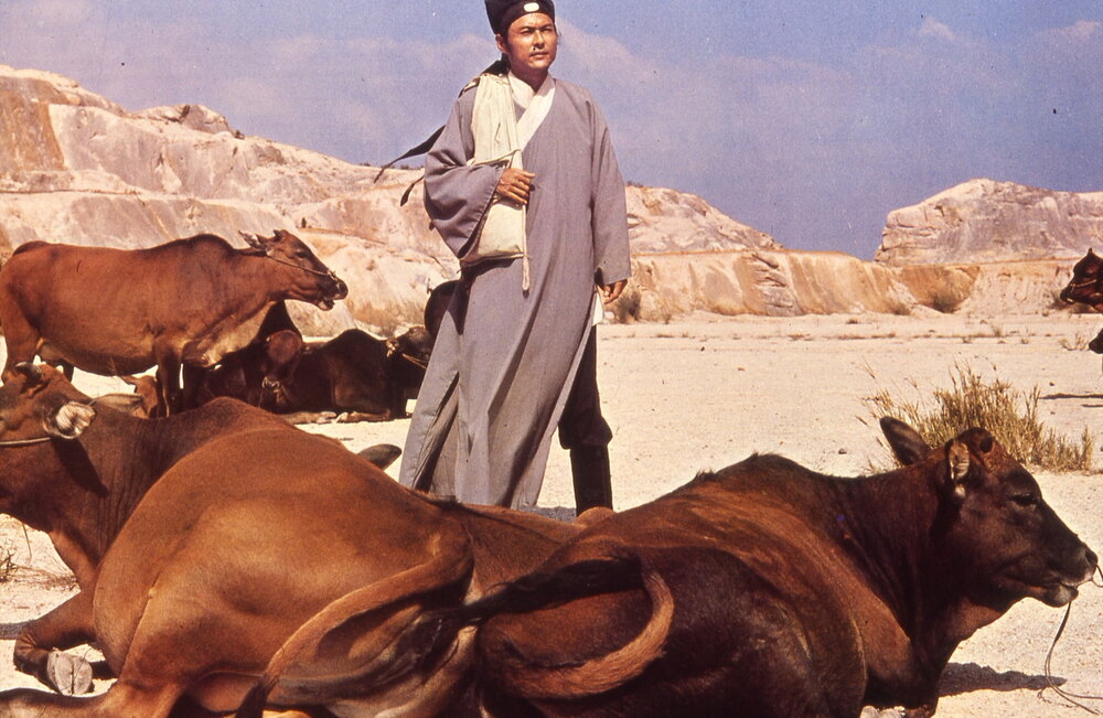 1973.迎春阁风波 彩色  高清 香港武侠 豆瓣8.1 李丽华 胡金铨导