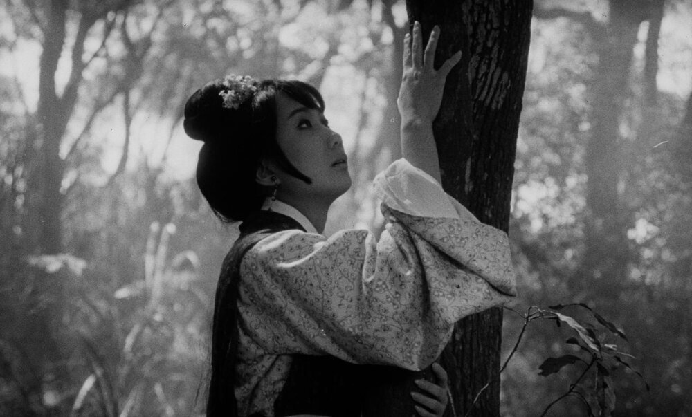 1970.董夫人.黑白 清晰版 香港爱情片 豆瓣8.1