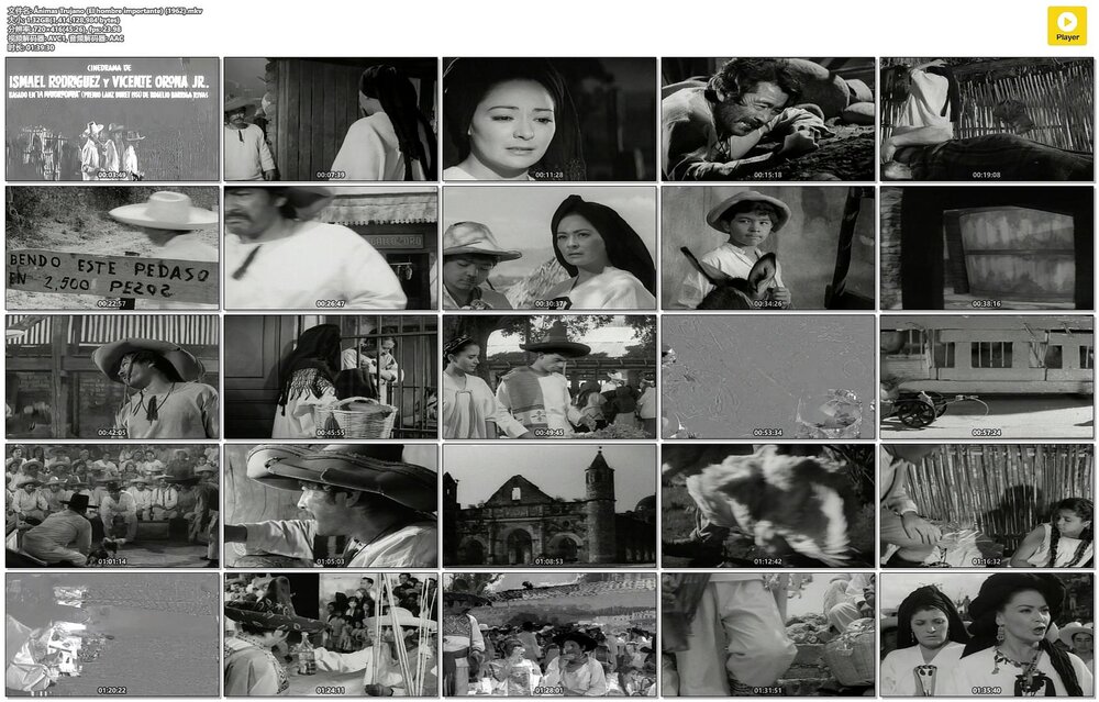 1961.非常重要的人 英国喜剧 黑白 中字 高清 豆瓣无分 Very Important Person